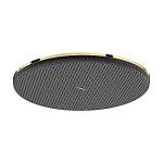 pvd guld-optik pol ecosmart 1jet 300 hovedbruser s alive raindance hansgrohe