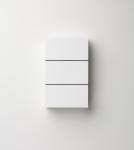 dong ding d117 friedland