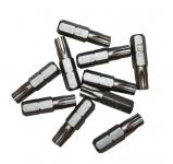 Torx bits